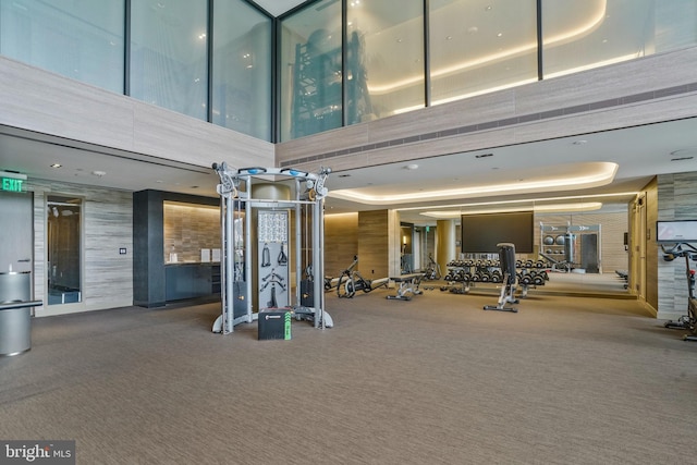 workout area featuring a high ceiling and a raised ceiling