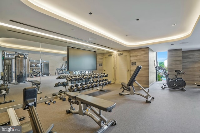 workout area with a raised ceiling