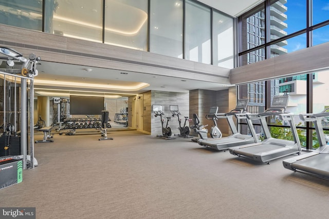 workout area with a wall of windows and carpet