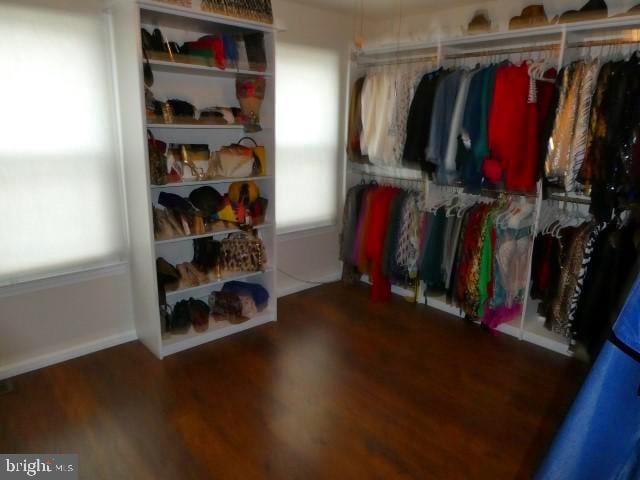 walk in closet featuring hardwood / wood-style floors