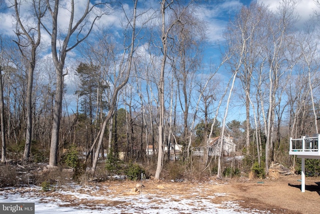 view of yard covered in snow