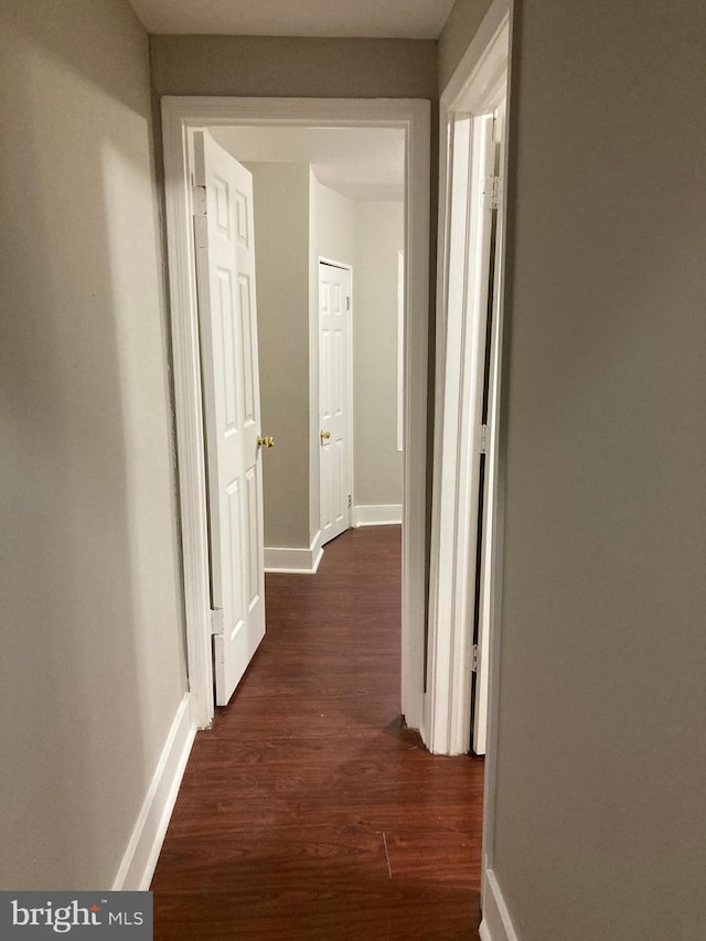 corridor with dark wood-type flooring