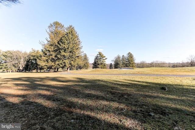 view of yard with a rural view