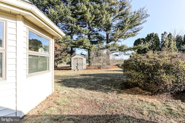 view of yard with a shed