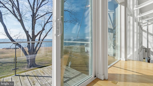 entryway with a water view and wood finished floors