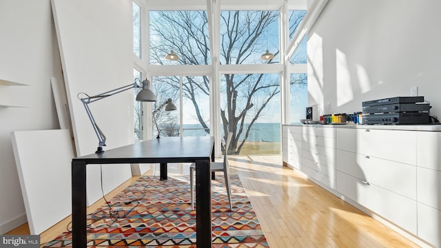 office featuring a high ceiling and light wood-style flooring