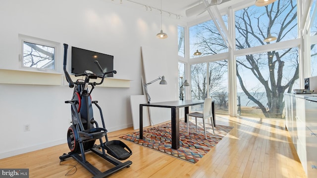 interior space with baseboards, a high ceiling, and wood finished floors