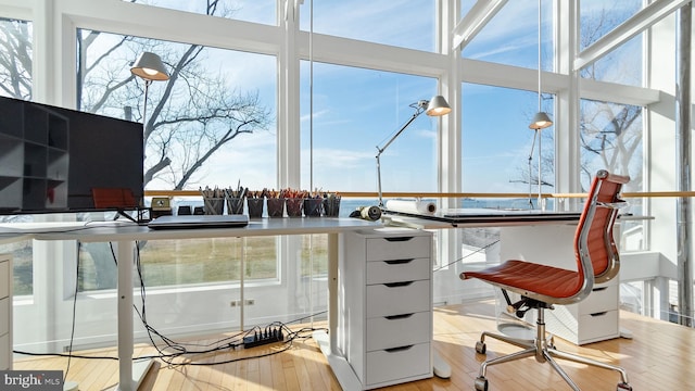 interior space featuring hardwood / wood-style flooring