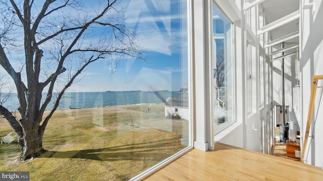 bathroom with plenty of natural light, wood finished floors, and a water view