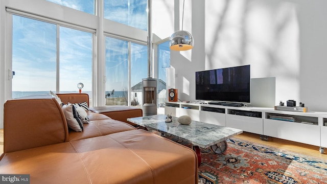 living area with wood finished floors, a high ceiling, and a healthy amount of sunlight