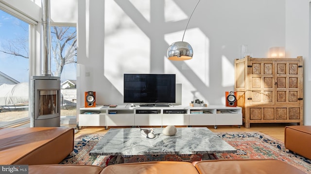 living room featuring a high ceiling and wood finished floors