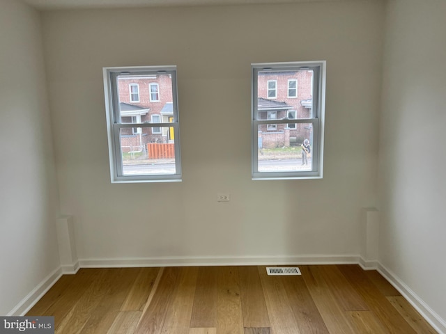 empty room featuring a wealth of natural light and light hardwood / wood-style flooring