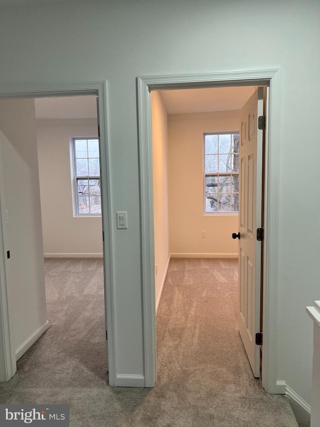 corridor featuring light colored carpet and a wealth of natural light