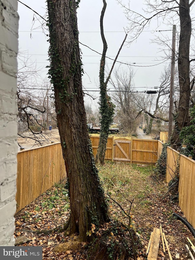 view of yard
