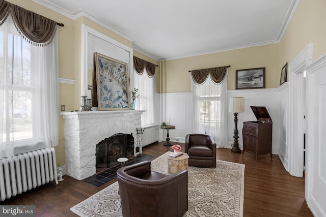 living area featuring radiator, plenty of natural light, and wood finished floors