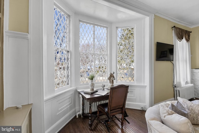 interior space featuring radiator, dark wood-style floors, plenty of natural light, and ornamental molding