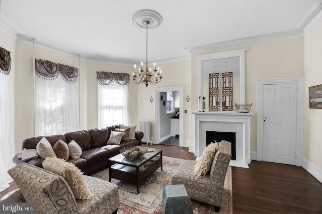 living area featuring ornamental molding, radiator heating unit, a fireplace, and wood finished floors