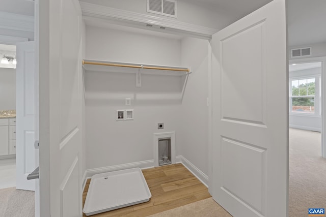 washroom featuring light carpet, hookup for a washing machine, and hookup for an electric dryer