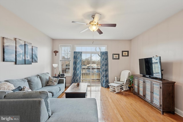 living room with ceiling fan and light wood-type flooring