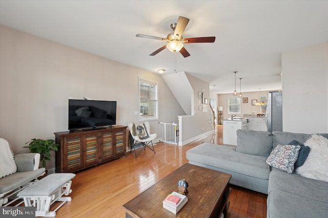 living room with hardwood / wood-style flooring, sink, and ceiling fan