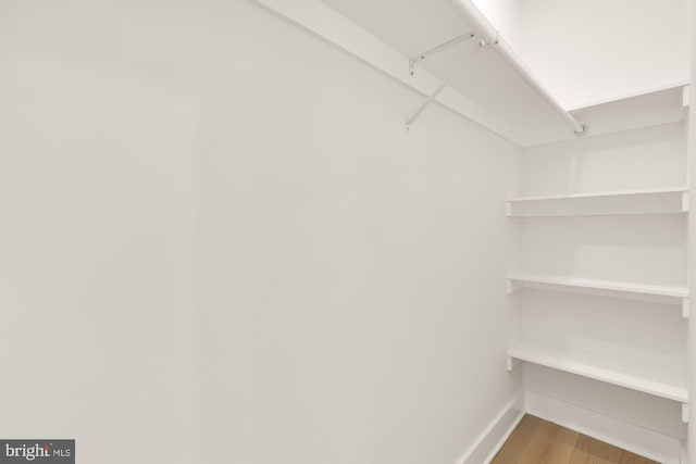 spacious closet with hardwood / wood-style floors