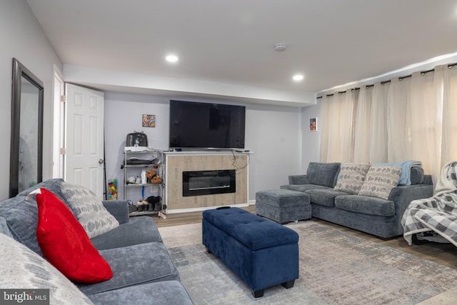 living room featuring hardwood / wood-style floors