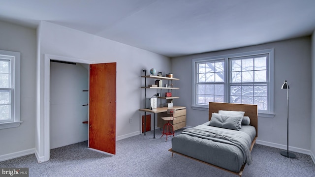 carpeted bedroom featuring multiple windows