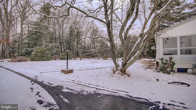 view of yard covered in snow