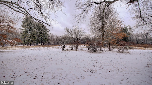 view of yard covered in snow