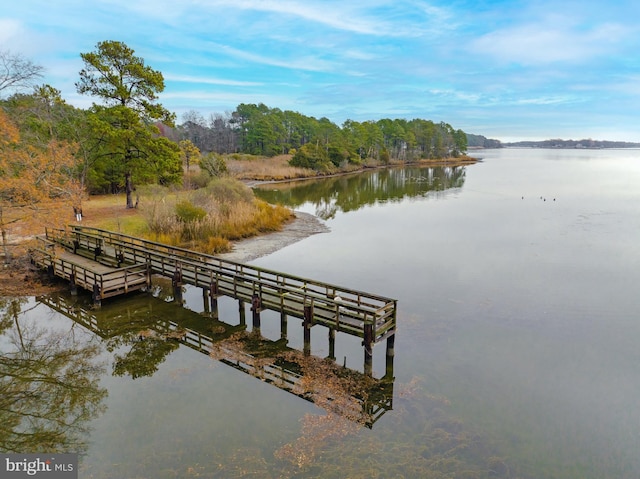 dock area featuring a water view