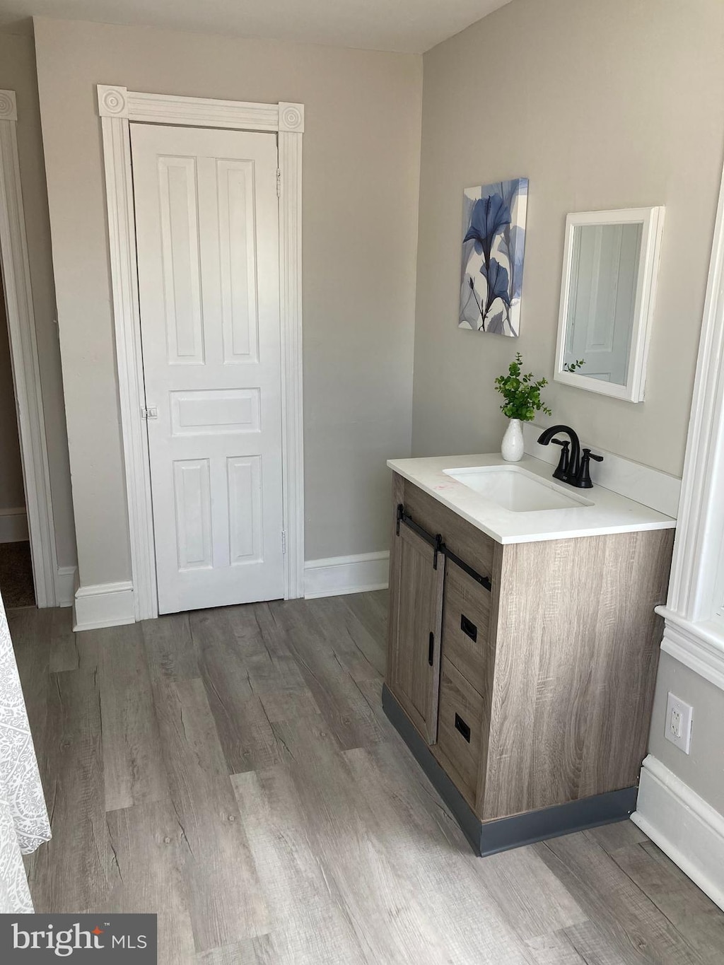 bathroom featuring wood finished floors, vanity, and baseboards