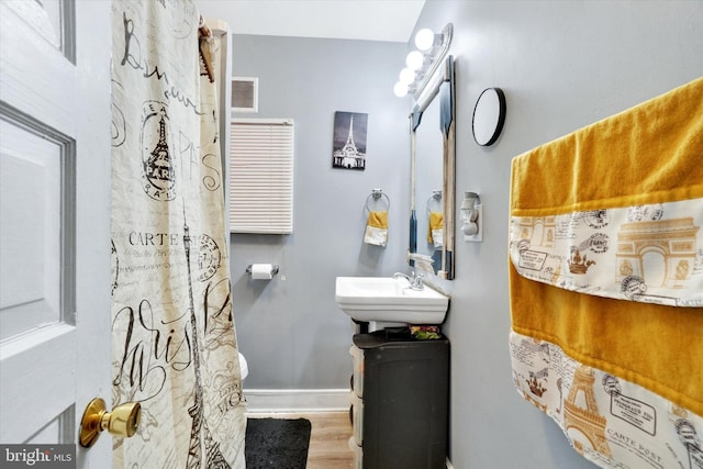 bathroom with wood-type flooring and sink