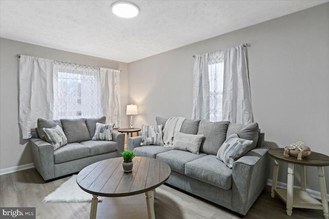 living room with plenty of natural light, wood-type flooring, and a textured ceiling