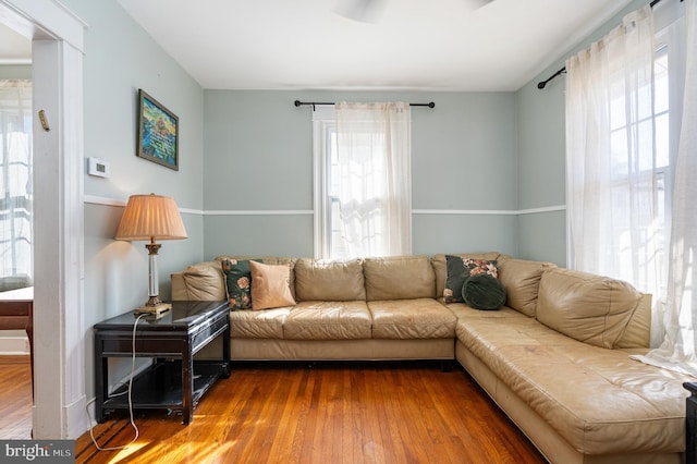 living room with wood-type flooring