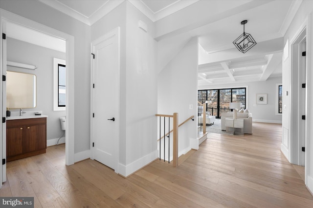 corridor with coffered ceiling, sink, ornamental molding, beamed ceiling, and light hardwood / wood-style floors