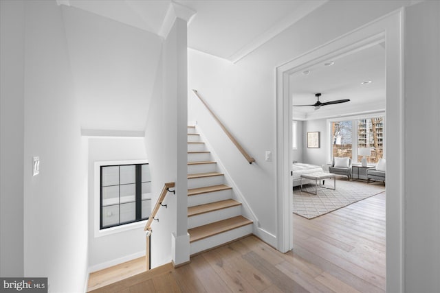 staircase with hardwood / wood-style flooring and ceiling fan