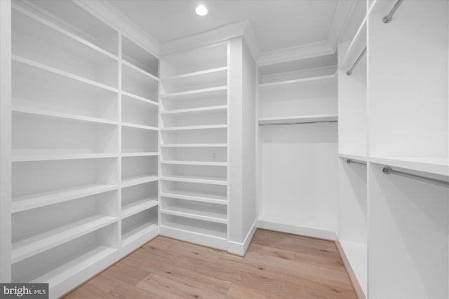 walk in closet featuring light wood-type flooring