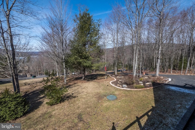 view of yard with a view of trees