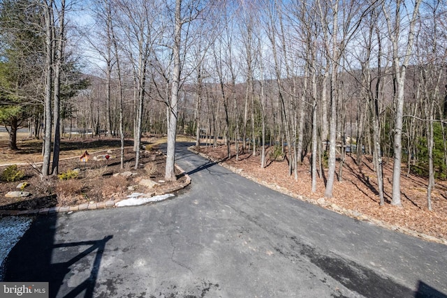 view of street featuring a forest view