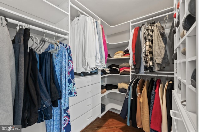 spacious closet featuring wood finished floors