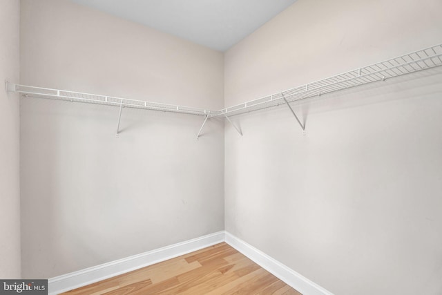 spacious closet with hardwood / wood-style floors