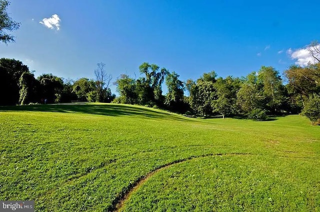 surrounding community featuring a lawn