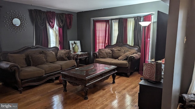 living room featuring hardwood / wood-style floors