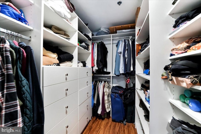 walk in closet featuring wood finished floors