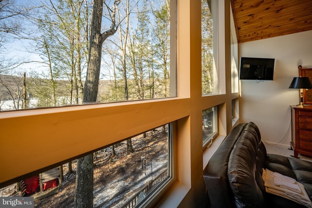 3084 Lake Shore Dr, Oakland, MD 21550 - interior space