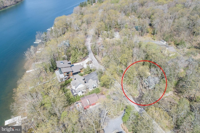 3084 Lake Shore Dr, Oakland, MD 21550 - drone / aerial view featuring a forest view and a water view