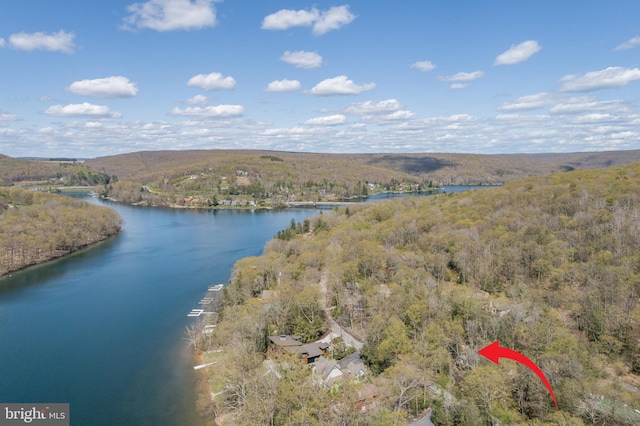 3084 Lake Shore Dr, Oakland, MD 21550 - bird's eye view featuring a view of trees and a water view