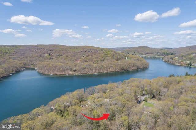 3084 Lake Shore Dr, Oakland, MD 21550 - water view featuring a view of trees