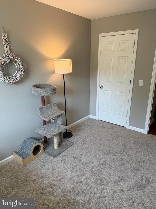 detailed view of baseboards and carpet floors