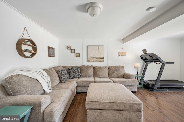 living area featuring wood finished floors and crown molding